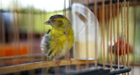 Russia's losses in Ukraine rise faster than ever, as US pushes for peace deal